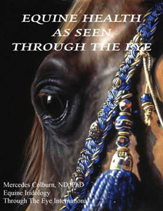 Equine Iridology Book Cover